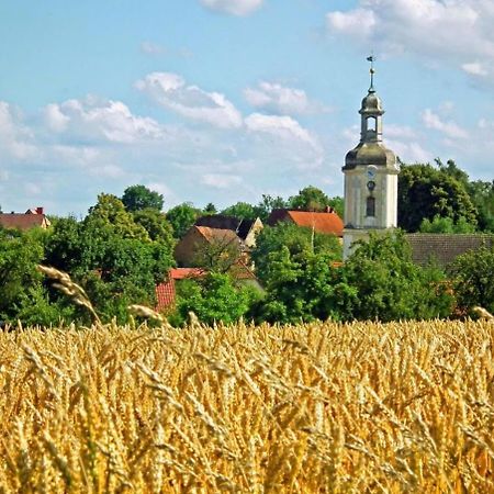 Naturhotel Etzdorfer Hof Schoenburg Екстер'єр фото