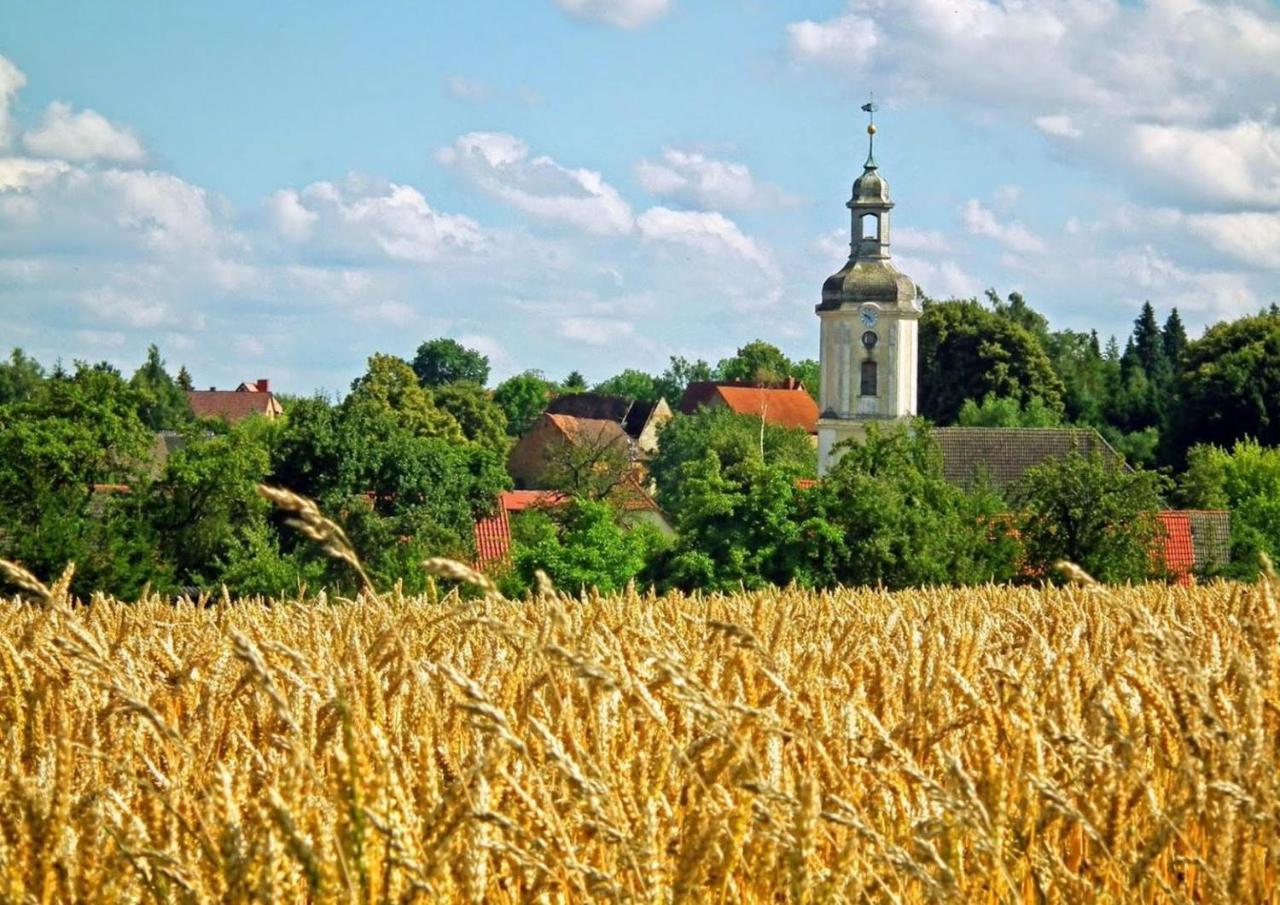 Naturhotel Etzdorfer Hof Schoenburg Екстер'єр фото
